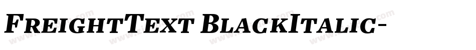 FreightText BlackItalic字体转换